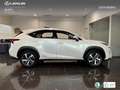 Lexus NX 300 300h Luxury 4WD Wit - thumbnail 3