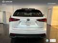 Lexus NX 300 300h Luxury 4WD Wit - thumbnail 5
