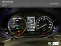 Lexus NX 300 300h Luxury 4WD Wit - thumbnail 19