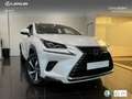 Lexus NX 300 300h Luxury 4WD Wit - thumbnail 12