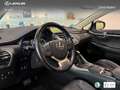Lexus NX 300 300h Luxury 4WD Wit - thumbnail 23