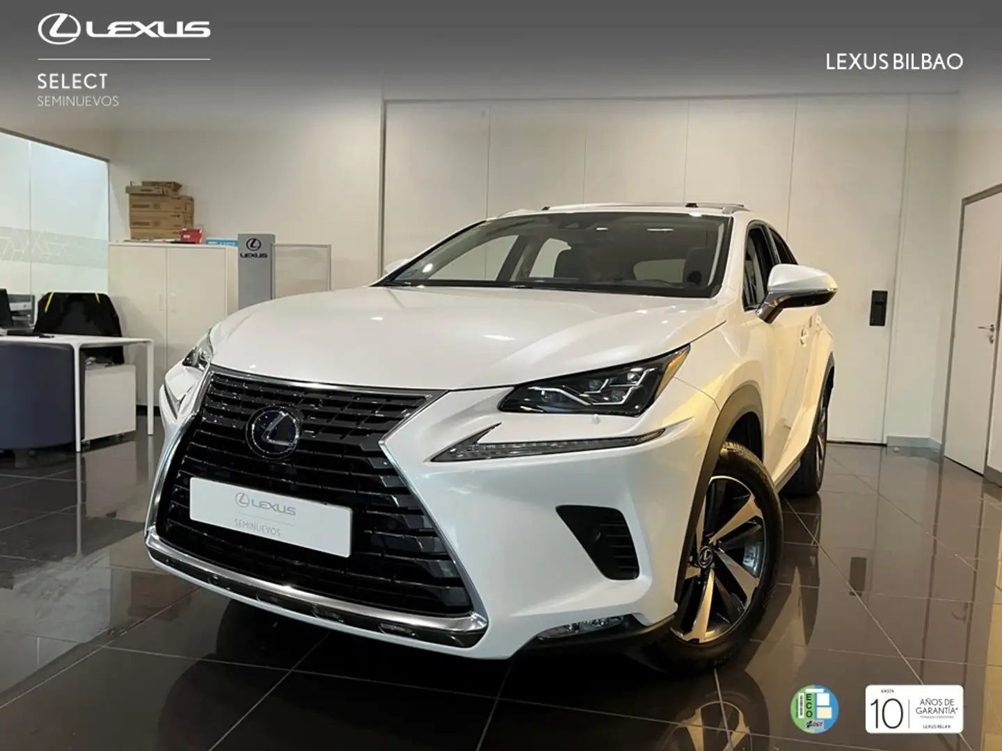 Lexus NX 300 300h Luxury 4WD Wit - 1