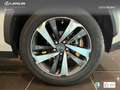 Lexus NX 300 300h Luxury 4WD Wit - thumbnail 10