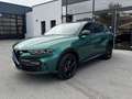Alfa Romeo Tonale Edizione Speciale Plug-In-Hybrid AWD Grün - thumbnail 4