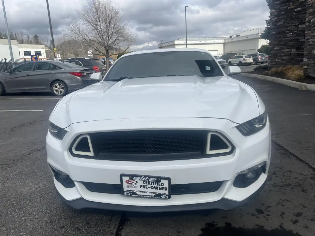 Ford Mustang снимка Ford Mustang