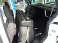 Ford Tourneo Courier Trend Klima/Navi/PDC/Inspektion Neu Bianco - thumbnail 14