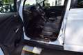 Ford C-Max C-MAX Titanium Automatik,Behindertengerecht Weiß - thumbnail 16