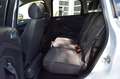 Ford C-Max C-MAX Titanium Automatik,Behindertengerecht Weiß - thumbnail 27
