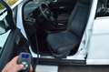 Ford C-Max C-MAX Titanium Automatik,Behindertengerecht Weiß - thumbnail 10