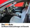 Audi A5 2.0 TDI Gris - thumbnail 7