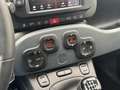 Fiat Panda 1.0 Hybrid RED Cross | Apple carplay | Climate con Grün - thumbnail 14