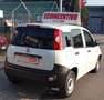Fiat Panda 1.0 GSE S&S Hybrid Pop Van 2 posti Blanc - thumbnail 5