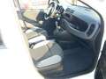 Fiat Panda 1.0 GSE S&S Hybrid Pop Van 2 posti Bianco - thumbnail 8