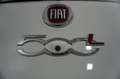 Fiat 500L Pro 1.6 MJT 105CV Pop 4 posti (N1) Blanc - thumbnail 14