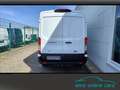 Ford Transit L2H2 AWD*AHK*Standhzg*Sitzhzg*2xAirbag Blanco - thumbnail 8