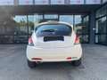 Lancia Ypsilon Ypsilon III 2015 1.2 Gold ecochic GPL NEOPATENTATI Bianco - thumbnail 5