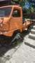 Puch Haflinger Comunal - thumbnail 2
