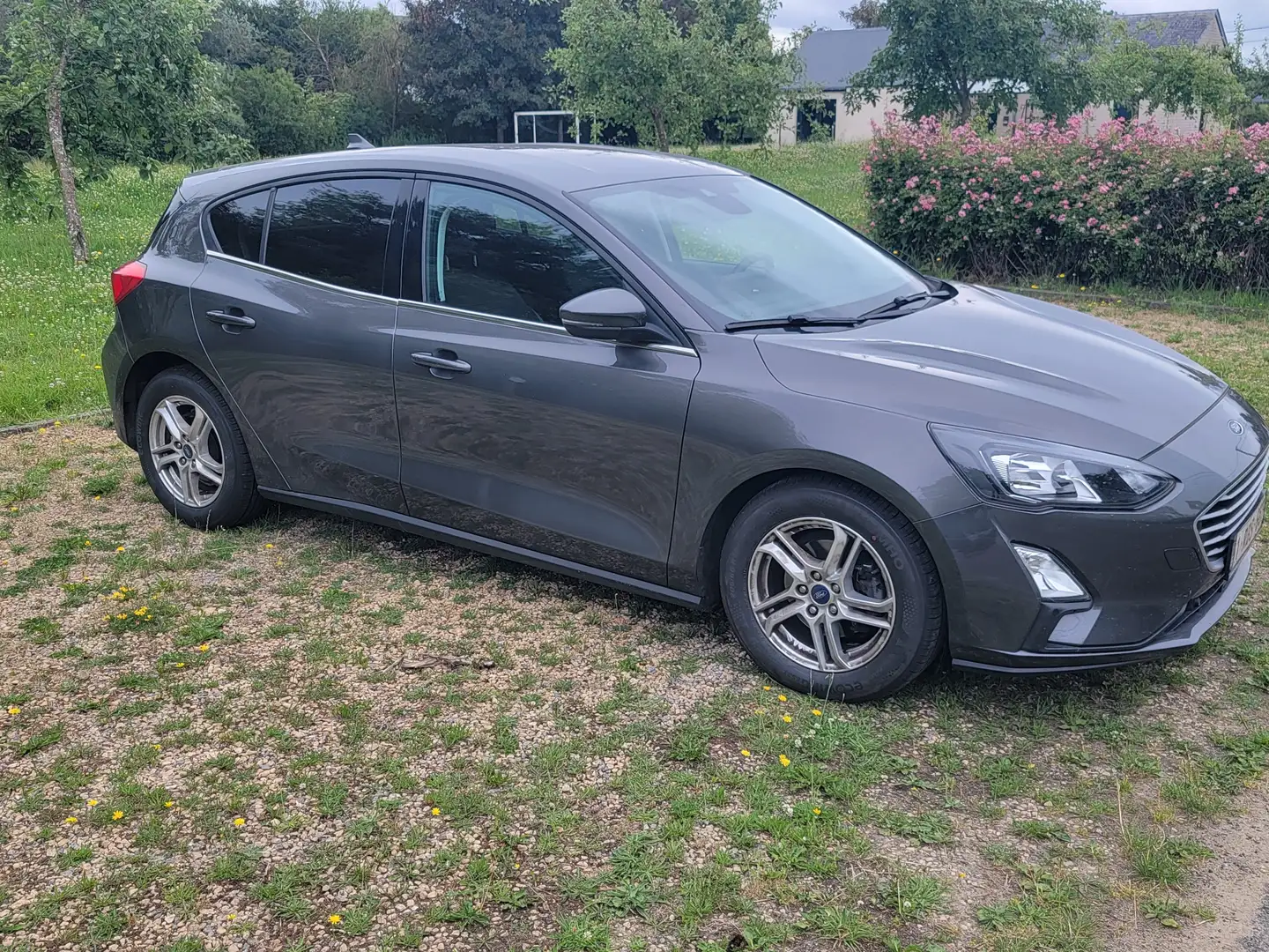 Ford Focus Focus 1.5 EcoBlue Connected Grijs - 2