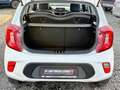 Kia Picanto Edition 7 Klima 1.HAND SCHECKHEFT Bianco - thumbnail 17
