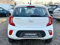 Kia Picanto Edition 7 Klima 1.HAND SCHECKHEFT Bianco - thumbnail 16