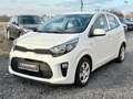 Kia Picanto Edition 7 Klima 1.HAND SCHECKHEFT Bianco - thumbnail 14