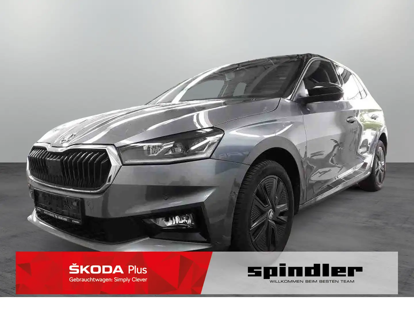 Skoda Fabia Style 1.0 TSI DSG/LED, ACC, RFK, Navi, SHZ Gris - 1