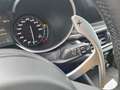 Alfa Romeo Stelvio Quadrifoglio Quadrifoglio 2.9 V6 ASS LM21 Grau - thumbnail 24