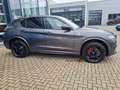 Alfa Romeo Stelvio Quadrifoglio Quadrifoglio 2.9 V6 ASS LM21 Grau - thumbnail 4