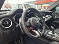 Alfa Romeo Stelvio Quadrifoglio Quadrifoglio 2.9 V6 ASS LM21 Grau - thumbnail 20