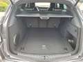 Alfa Romeo Stelvio Quadrifoglio Quadrifoglio 2.9 V6 ASS LM21 Grau - thumbnail 7
