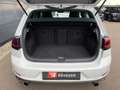 Volkswagen Golf VII GTI Performance  ACC NAVI RFK Standhzg Weiß - thumbnail 18