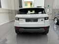 Land Rover Range Rover Evoque 5p 2.0 td4 SE Dynamic 150cv auto Weiß - thumbnail 4