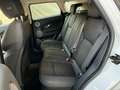 Land Rover Range Rover Evoque 5p 2.0 td4 SE Dynamic 150cv auto Bianco - thumbnail 12