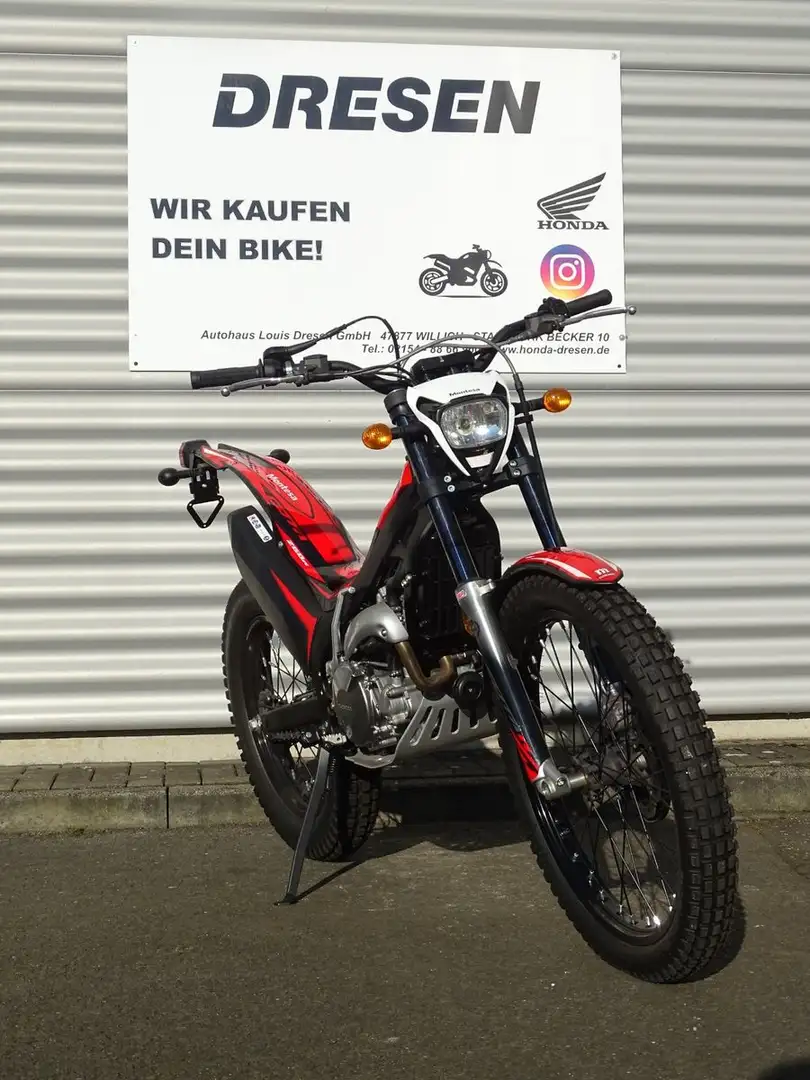 Honda Montesa Cota 4RT 260R * 2024 * Rot - 2