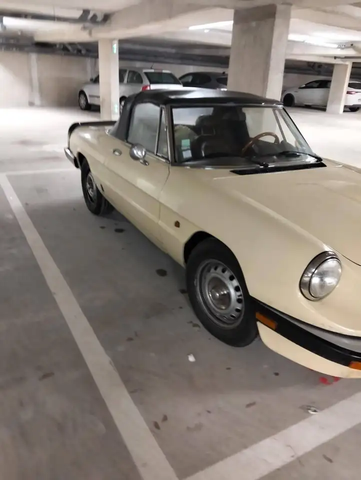 Alfa Romeo Spider Pininfarina, foto 5