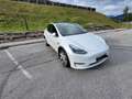 Tesla Model Y Long Range AWD 75kWh - thumbnail 4