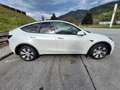 Tesla Model Y Long Range AWD 75kWh - thumbnail 1