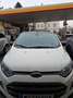 Ford EcoSport EcoSport 1,0 EcoBoost Titanium S Titanium S Weiß - thumbnail 9