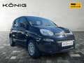 Fiat Panda MY25 Eurostar Klima PDC Noir - thumbnail 2