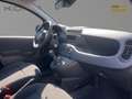 Fiat Panda MY25 Eurostar Klima PDC Noir - thumbnail 7
