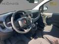 Fiat Panda MY25 Eurostar Klima PDC Noir - thumbnail 12