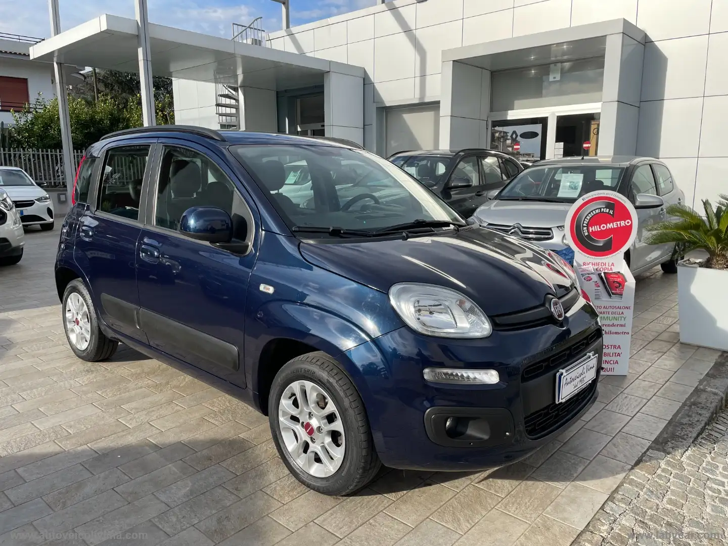 Fiat Panda 1.2 Lounge Blu/Azzurro - 1