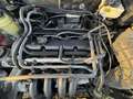 Ford Focus Ambiente - thumbnail 20