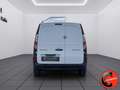 Renault Kangoo B.DCi 95CV(ALLESTITO OFFICINA MOBILE)CRUISE-6MARCE Bianco - thumbnail 8