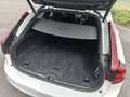 Volvo V90 T6 Recharge AWD Plus Dark Blanc - thumbnail 14