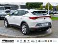 CUPRA Formentor 2.0 TDI NAVI ACC LED PARK Weiß - thumbnail 3