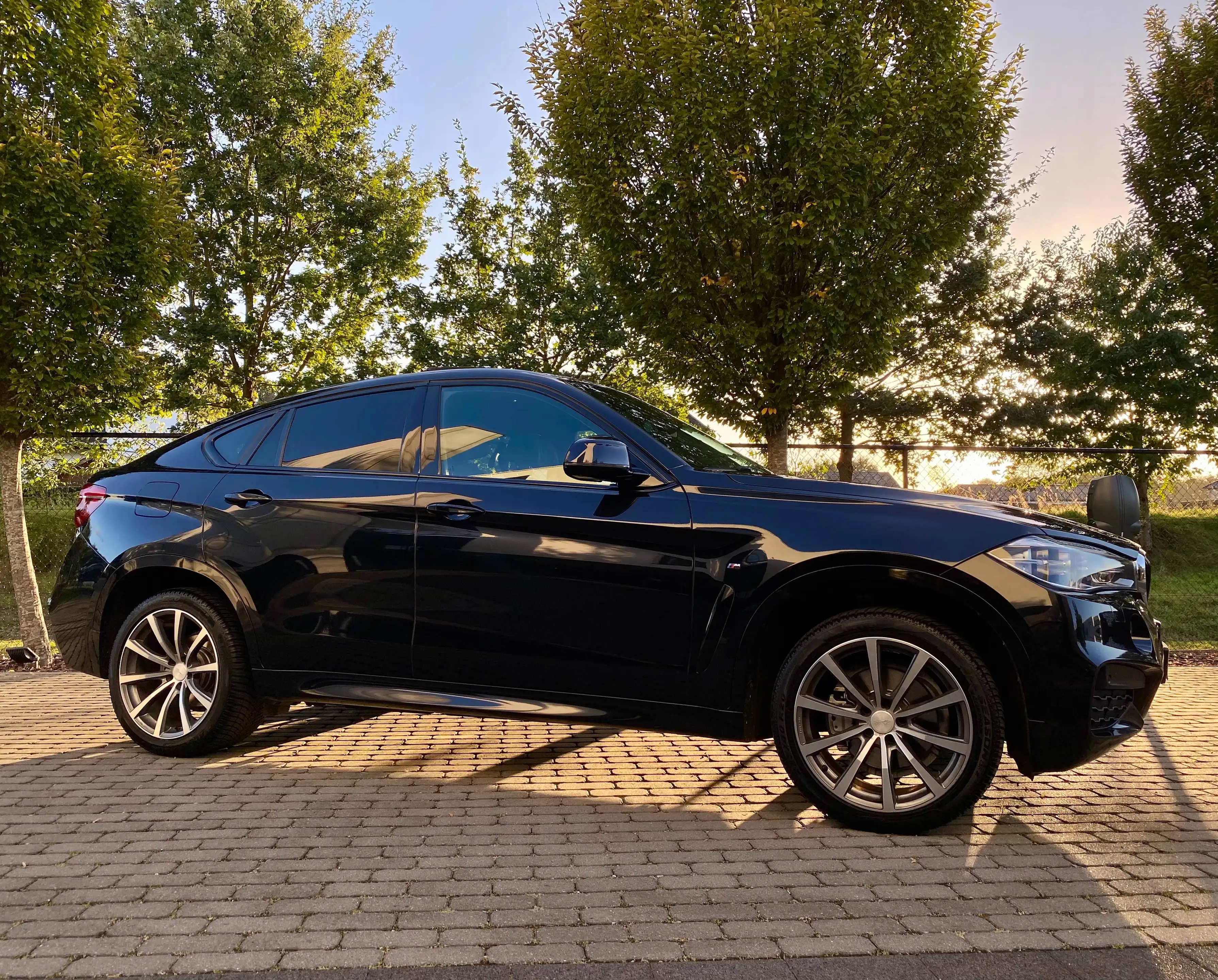 BMW X6 Xdrive30d M pakket 20"/Leder/O.D./Memory/LED/El.TrekhaakWBA — photo 5