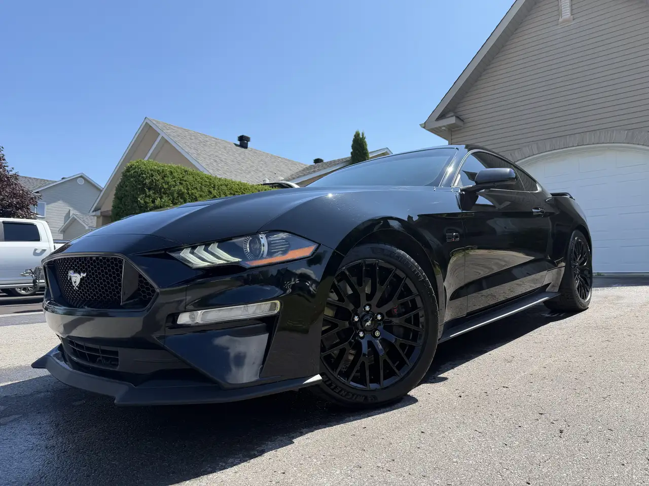  Mustang