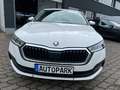 Skoda Octavia Lim. Ambition 2.0 TDI*1.HD*40xVerfügbar* Blanc - thumbnail 2