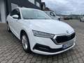 Skoda Octavia Lim. Ambition 2.0 TDI*1.HD*40xVerfügbar* Blanc - thumbnail 3